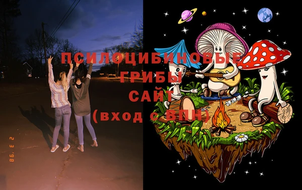 спайс Белокуриха