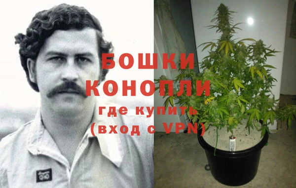 спайс Белокуриха