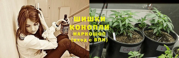 спайс Белокуриха