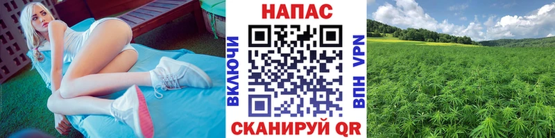 Шишки марихуана Amnesia Кизляр